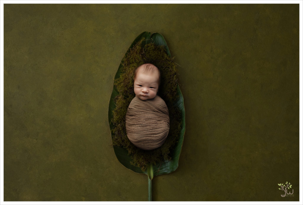 Best Tacoma newborn photography